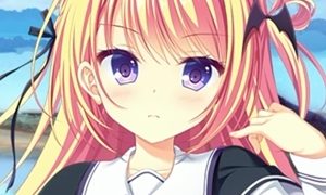 ｴﾛｹﾞをダウンロード版でしか買わない奴のアイキャッチ画像